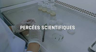 perces