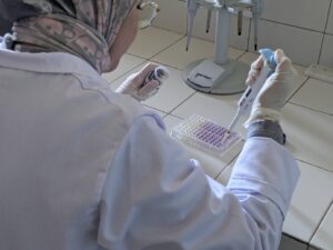 الدراسات والخبرات